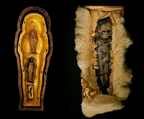 Photo Album: King Tut, Queen Nefertiti, and One Tangled Family Tree ...