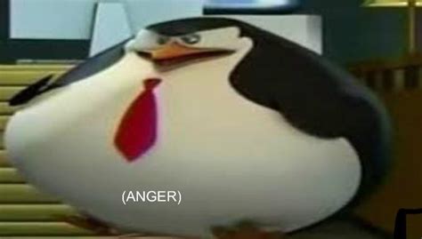 Angry Little Penguin Meme