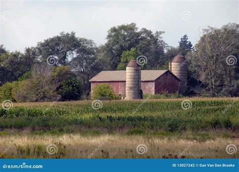 Old Barn in corn field stock photo. Image of barn, feed - 13027342