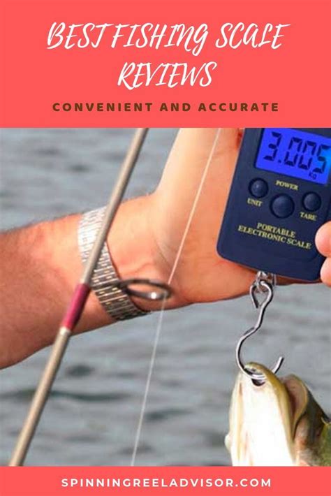 Best Fishing Scale Reviews | Best fishing, Scale, Fish scales