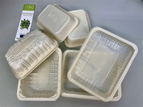 Biodegradable Food Packaging Extending Food Shelf Life