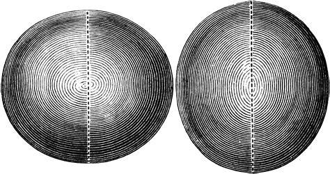 Oblate and Prolate Spheroid | ClipArt ETC