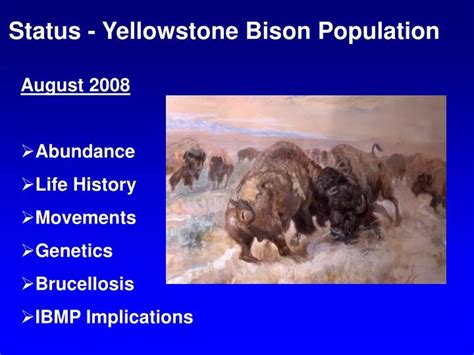 PPT - Status - Yellowstone Bison Population PowerPoint Presentation ...