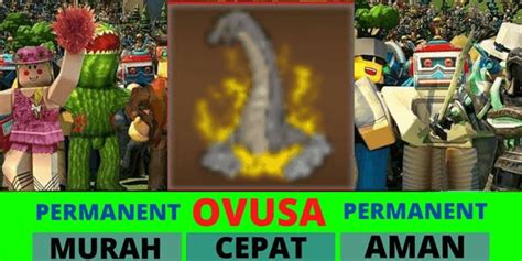 Beli Item Brachio Fruit | King Legacy Roblox Terlengkap dan Termurah ...