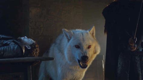 Why Ghost the Direwolf Was Not at the Battle of the Bastards - 'Game of ...