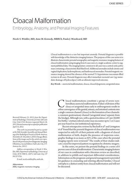 (PDF) Cloacal Malformation Embryology, Anatomy, and Prenatal Imaging ...