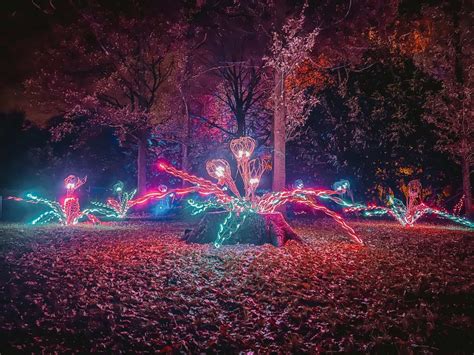 Magical Dunham Massey Christmas Lights Trail Review (2024)!