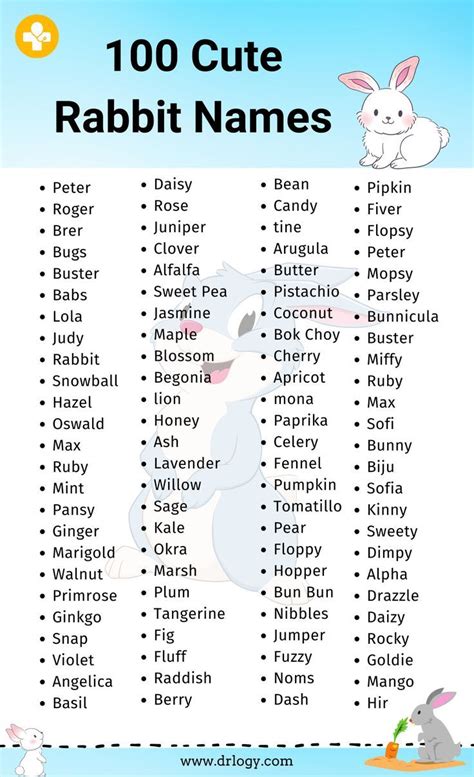 100 Cute Rabbit Names With Meaning | Rabbit names, Names with meaning ...