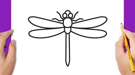 Simple Dragonfly Drawing