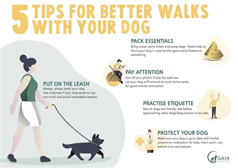 Handy Handout: 5 Tips For Better Walks With Your Dog | GAIAVETS