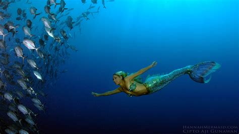 Hannah Fraser, a real life mermaid, swims with sharks and whales to ...