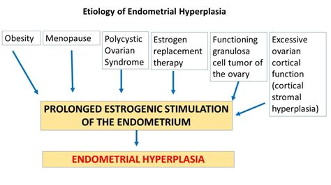 Pathology of Endometrial Hyperplasia - Pathology Made Simple