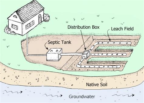 Septic Tank Drain Field Diagram