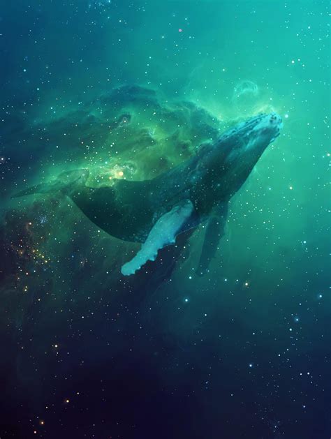 Cosmic Whale - By Shaun Doogan (Me) : ImaginaryLeviathans