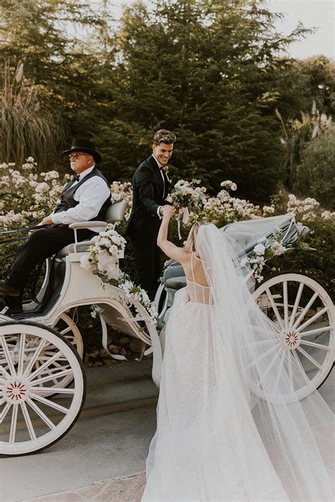 Wedding horse and carriage – Artofit