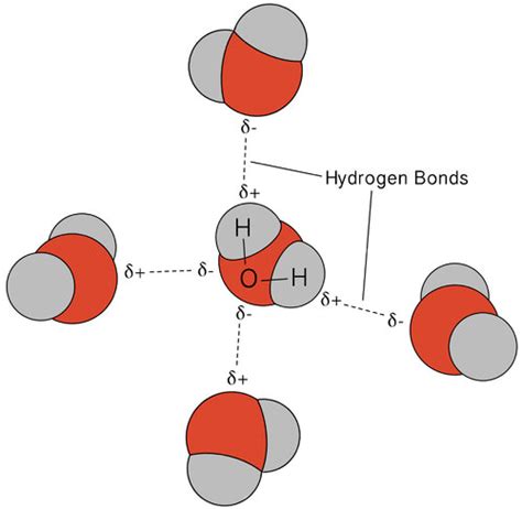 9.19: Hydrogen Bonding - Chemistry LibreTexts