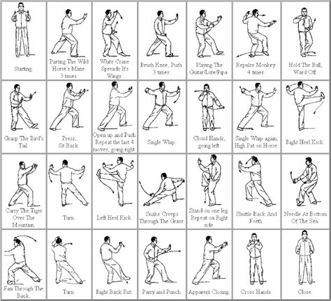 A Beginners Guide to the Tai Chi Short Form – Styles, Moves, and How to ...