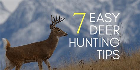 7 Insanely Simple Deer Hunting Tips - How to Hunt Deer