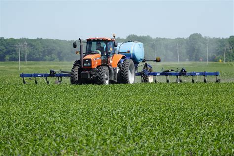 Things to consider when sidedressing nitrogen