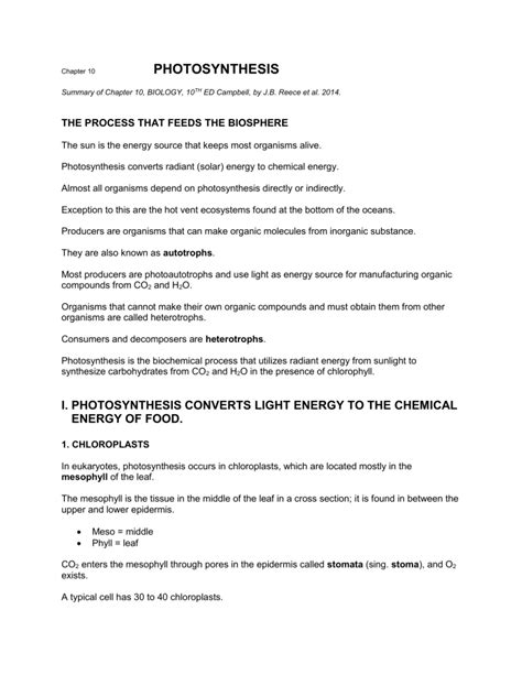 Chapter 10 Photosynthesis