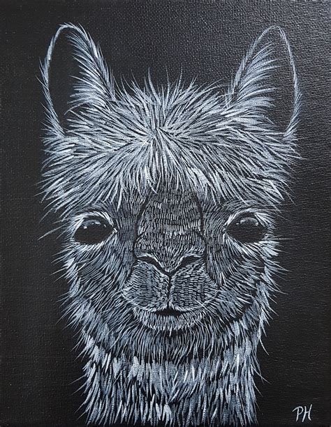 Easy Scratch Art Animals