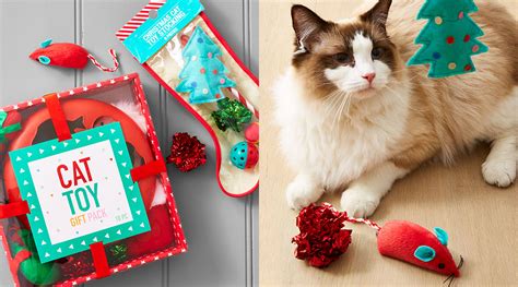 christmas-gifts-for-pets - Kmart