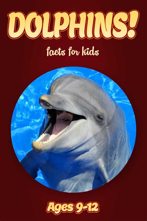 Dolphin Facts – Kids Non Fiction Book (Ages 9-12) – clouducated