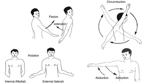 16 Range of motion testing for shoulder joint | Download Scientific Diagram