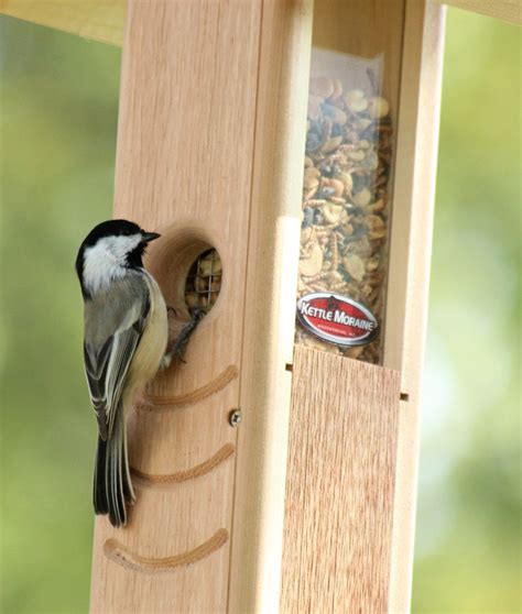 Woodpecker Feeder – Kettle Moraine Woodworking Inc