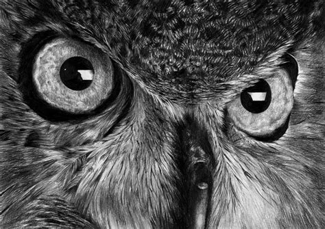 owl eyes Drawing by aga kallur | Saatchi Art