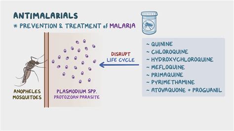 Antimalarials: Nursing pharmacology - Osmosis Video Library