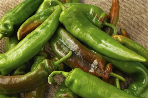 11 Types of hot peppers, ranked from mild to fiery