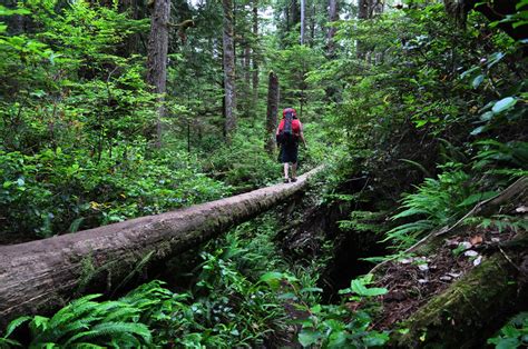 West Coast Trail in British Columbia 2024 - Rove.me