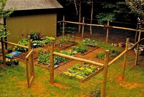 27 Cheap DIY Fence Ideas for Your Garden, Privacy, or Perimeter