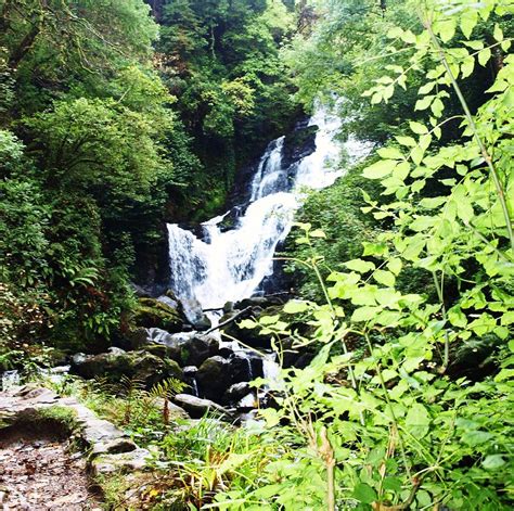 Falls in Killarney Park Photograph by Tess Clarke - Pixels