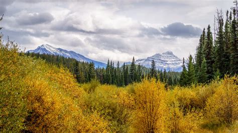 Five Lakes Hiking Trail stock photo. Image of branch - 61279924