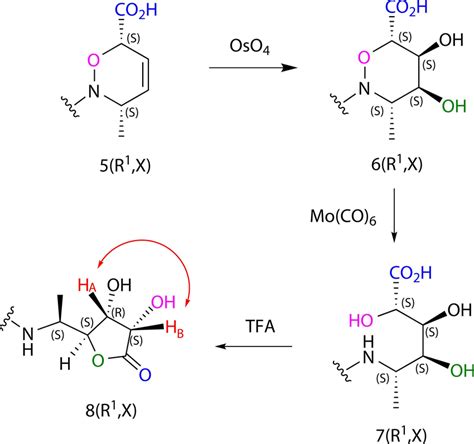 Stereoselective formation of lactone 8(R 1 ,X) demonstrated on one ...