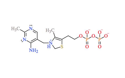 Thiamine Pyrophosphate Structure