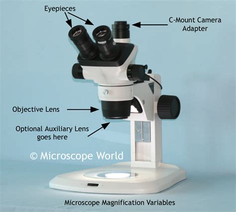 Microscope World Blog: Stereo Microscope Magnification