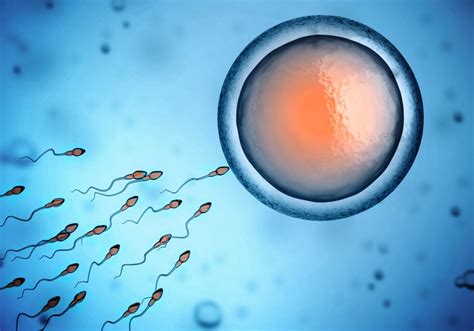 Oligospermia | Low Sperm Count | Ayurvedic treatment