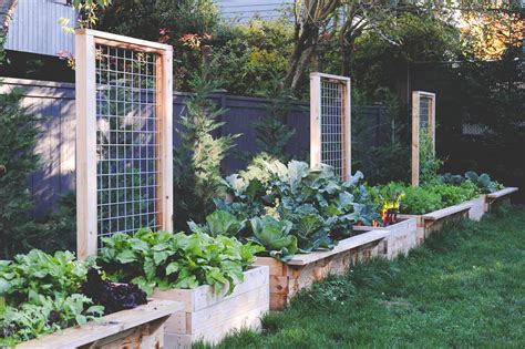 Cedar Raised Beds with Permanent Trellising — Seattle Urban Farm Company