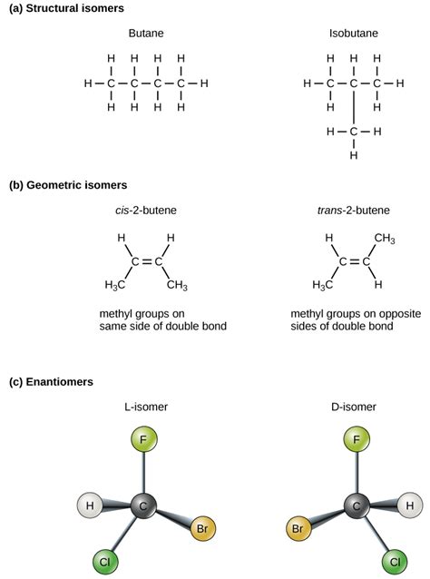 Organic Molecules and Isomers – Biology 201: The Chemistry of Life