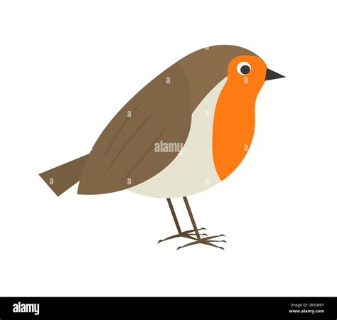 Cute robin bird. Vector illustration Stock Vector Image & Art - Alamy