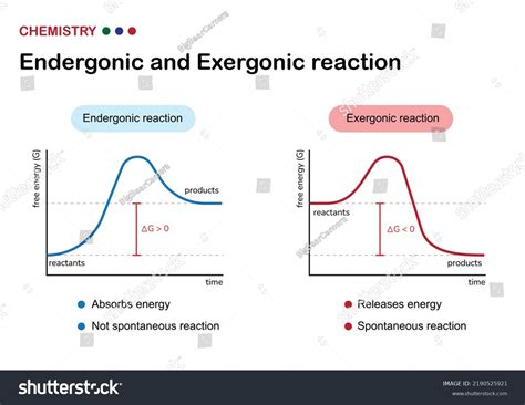 Endergonic Reaction: Definition, Examples, And Graph, 60% OFF