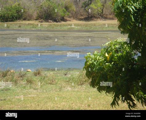 Beautiful landscape photography in Sri Lanka. Visit Sri Lanka Stock ...