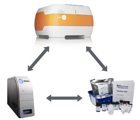 Immunoassay Platforms, Kits and Products : R&D Systems