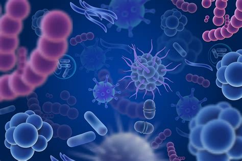 Comprehensive Stool Analysis With Parasitology | MosaicDX