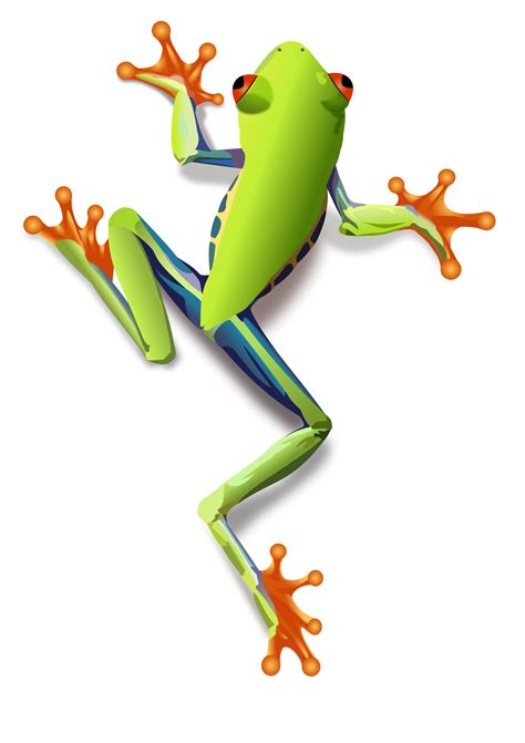 Clipart - Treefrog