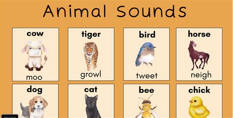 Animal Sounds Poster | Etsy