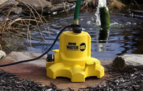 Wayne Waterbug Pump Review – New Edition - plumbingpoints